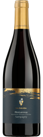 2021 Marsannay AOC Sampagny Domaine Les Astrelles 750