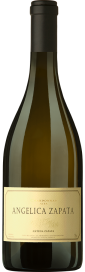 1308621075C6100