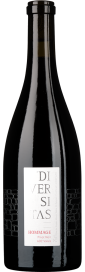 2022 Diversitas Hommage Pinot Noir Valais AOC Cave du Rhodan 750