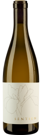 2022 Sentium Sauvignon Blanc Mendocino Sentium Wines 750
