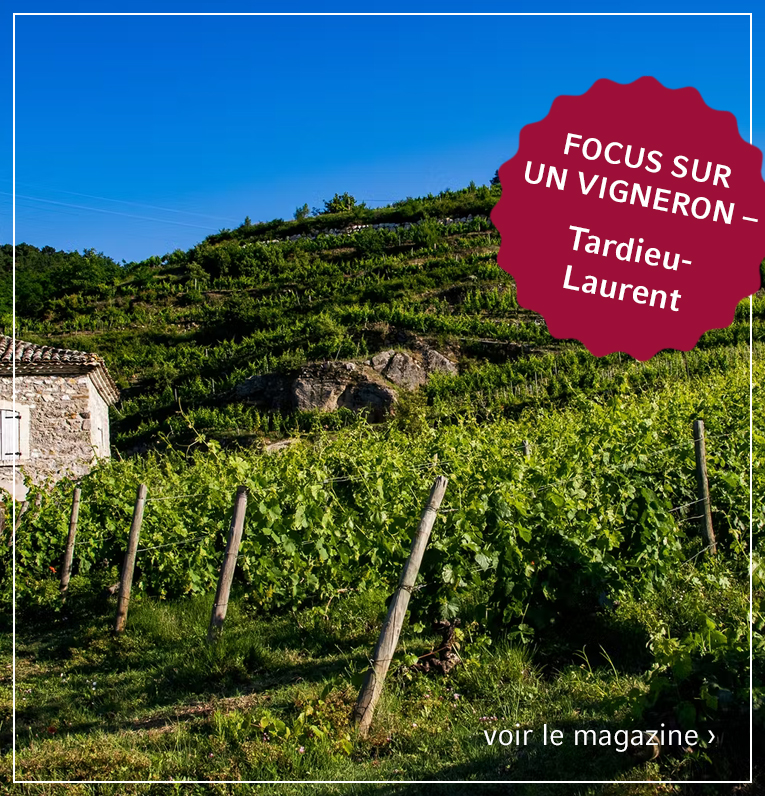 Focus sur un vigneron – Tardieu-Laurent