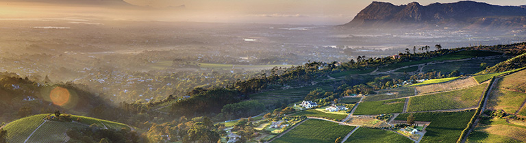 Constantia Glen