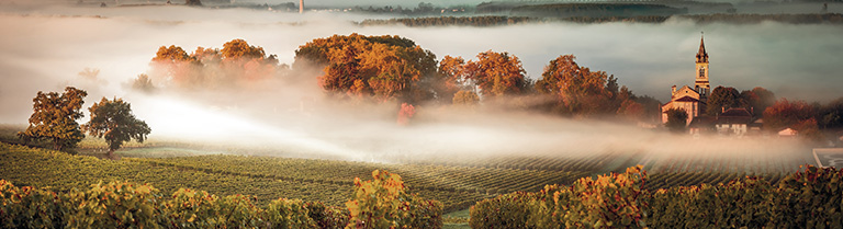 Domaine de la Pertuisane