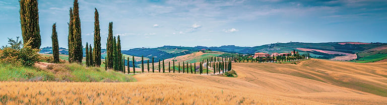 Azienda Agricola Aggazzotti Dr.Pietro srl