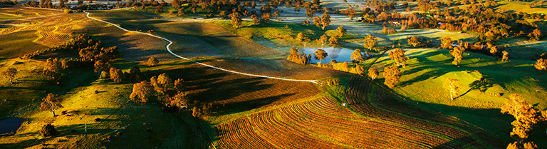 Penfolds