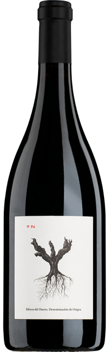 2022 Psi Ribera del Duero DO Bodegas y Viñedos Alnardo 750
