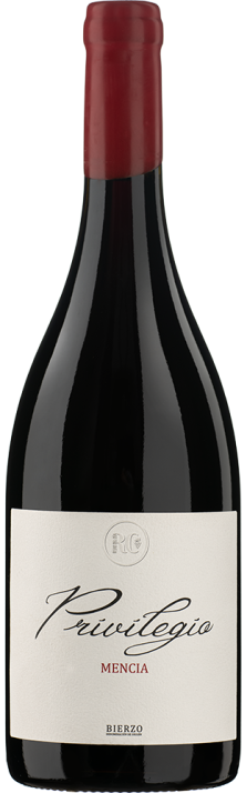 2020 Privilegio Bierzo DO Bodega Ribas del Cúa 750