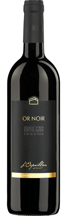 2021 Or Noir Valais AOC L'Orpailleur - Frédéric Dumoulin 750