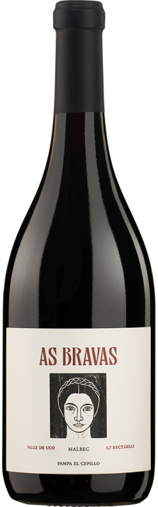 2017 Malbec El Enemigo As Bravas Cordón El Cepillo Valle de Uco Puerto Ancona 750