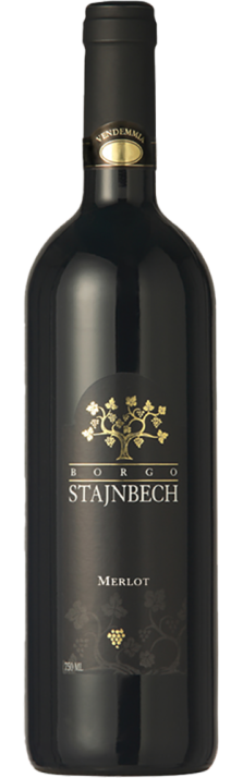 2023 Merlot Trevenezie IGP Borgo Stajnbech 750