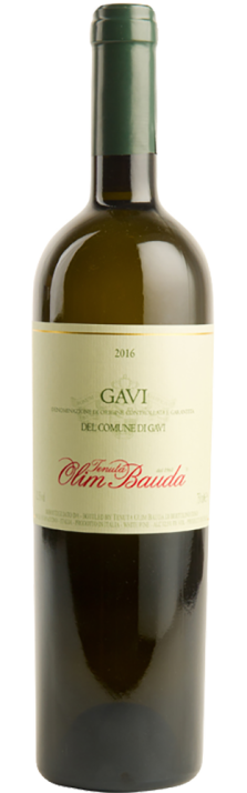 2022 Gavi DOCG di Gavi Tenuta Olim Bauda 750
