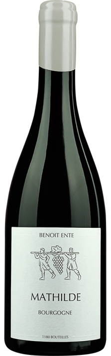 2023 Bourgogne AOC Mathilde Benoît Ente 750
