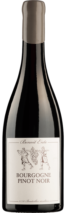 2013 Bourgogne AOC Pinot Noir Benoît Ente 750.00