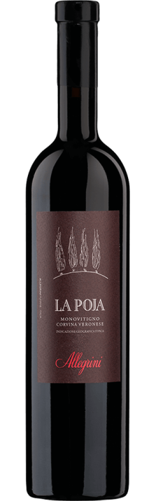 2015 La Poja Monovitigno Corvina Veronese IGT Allegrini 1500