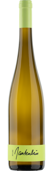 2022 Fläscher Riesling Graubünden AOC Gantenbein 750