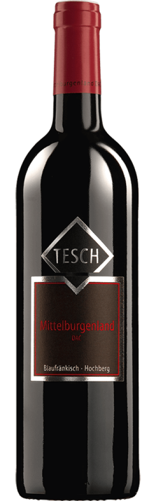 2008 Blaufränkisch Hochberg Mittelburgenland DAC Weingut Tesch 750.00