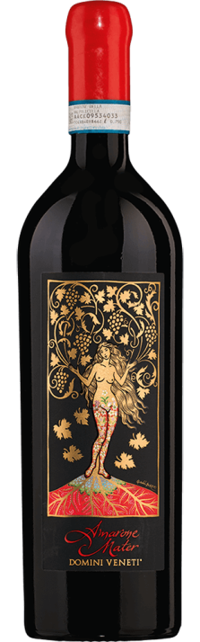 2010 Amarone Valpolicella Classico DOCG Mater Domini Veneti Cantina Valpolicella Negrar 750.00 2010 Amarone Valpolicella Classico DOCG Mater Domini Veneti Cantina Valpolicella Negrar 750.00