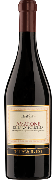 2013 Amarone Valpolicella DOCG Ai Colli Vivaldi 375.00