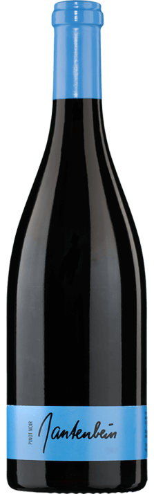 2016 Fläscher Pinot Noir Graubünden AOC Gantenbein 750.00