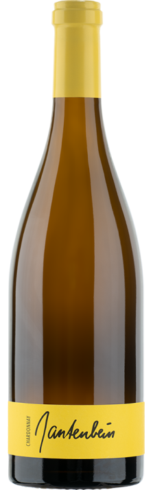 2023 Fläscher Chardonnay Graubünden AOC Gantenbein 750