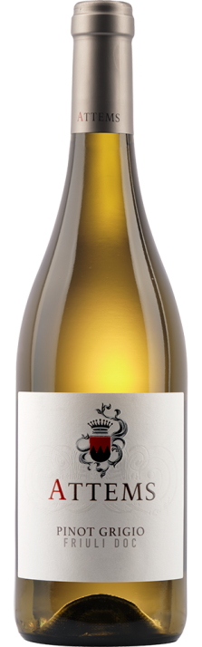 2024 Pinot Grigio Friuli DOC Conti Attems 750 2024 Pinot Grigio Friuli DOC Conti Attems 750