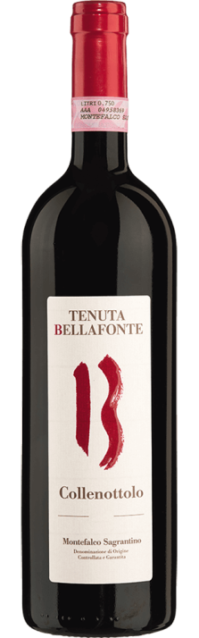 2010 Collenottolo Montefalco Sagrantino DOCG Tenuta Bellafonte 750.00