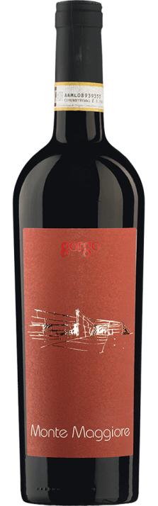 2013 Monte Maggiore Bardolino DOC Superiore Azienda Agricola Gorgo 750.00