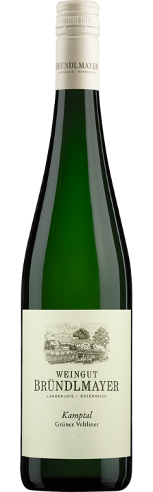 2024 Grüner Veltliner Kamptal DAC Selektion Mövenpick Weingut Bründlmayer 750