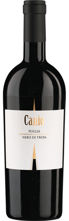 2013 Canio Nero di Troia Puglia IGT Vigneti del Salento 750.00 2013 Canio Nero di Troia Puglia IGT Vigneti del Salento 750.00