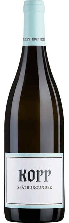 2015 Spätburgunder trocken Weingut Kopp 750.00