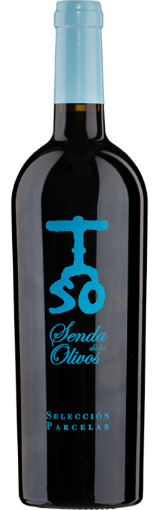 2013 Senda de los Olivos Selección Parcelar Navarra DO Pago de Cirsus 750.00