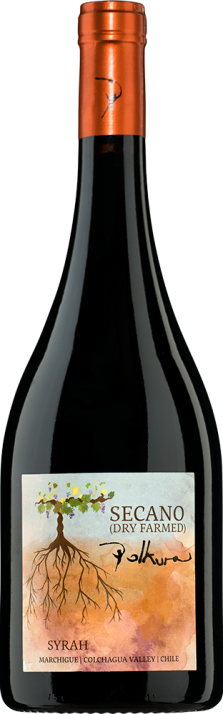 2020 Syrah Secano Marchigue Valle de Colchagua Viña Polkura 750