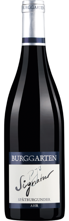 2015 PJ's Signatur Spätburgunder trocken Ahr Weingut Burggarten 750.00