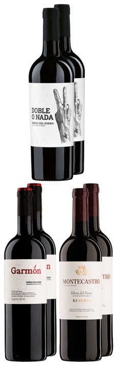 Tasting Box Ribera del Duero 4500