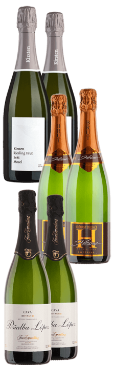 Probierpaket Schaumweine Carton de dégustation Vins effervescents 4500.00