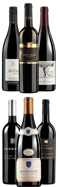 Probierpaket Pinot Noir Carton de dégustation Pinot Noir