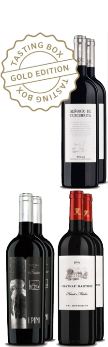 Tasting Box Gold Passione Italiana WK/Cellier 4500.00