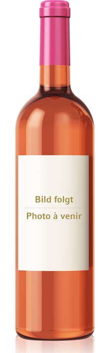 2023 Complices Rosé Martigny Valais AOC Domaine Gérald Besse 750