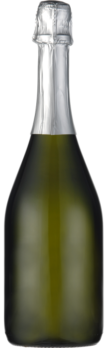 2008 Champagne Brut Cuvée Belle Epoque Perrier Jouët 750.00