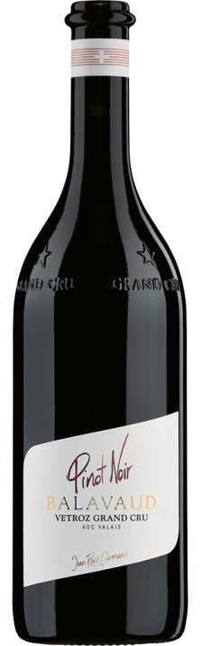 2022 Pinot Noir Balavaud Vétroz Grand Cru Valais AOC Domaine Jean-René Germanier 750.00