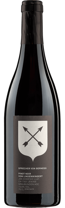 2020 Pinot Noir vom Lindenwingert Graubünden AOC (Biodinamico) Weingut Sprecher von Bernegg 750.00