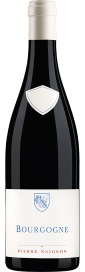 2021 Bourgogne Hautes-Côtes de Nuits AOC Domaine Les Astrelles 750