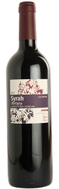 2022 Syrah Les Pierriers Martigny Valais AOC Domaine Gérald Besse 750