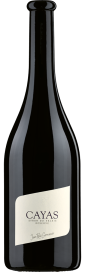 2021 Cayas Syrah Réserve Valais AOC Domaine Jean-René Germanier 750