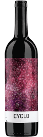 2020 Cyclo Ribera del Duero DO Finca Torremilanos Bodegas Peñalba Lopez 750