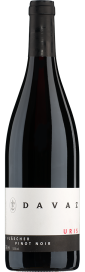2021 Fläscher Pinot Noir Uris Graubünden AOC Weingut Davaz 750