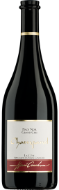 2021 Pinot Noir Champanel La Côte Grand Cru AOC Domaine Henri Cruchon 750