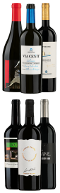 Tasting Box Selektion Wein des Jahres Tasting Box sélection vin de l'année 4500