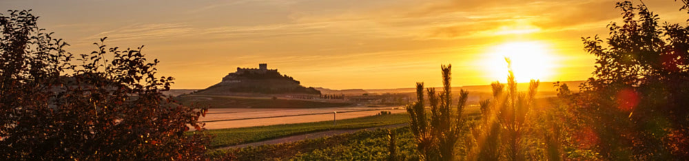 Weinregion Napa Valley