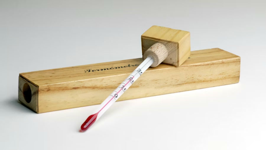 Thermomètre à vin